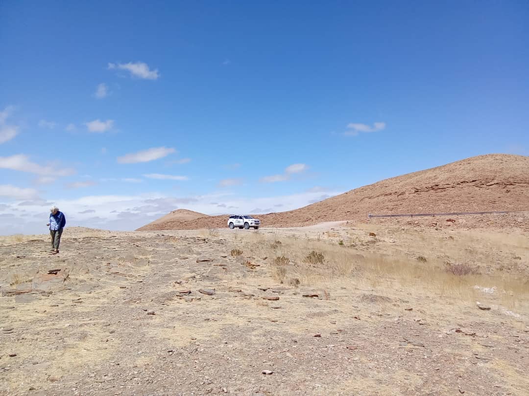 A guest walking near the vehicle in open Namibian country